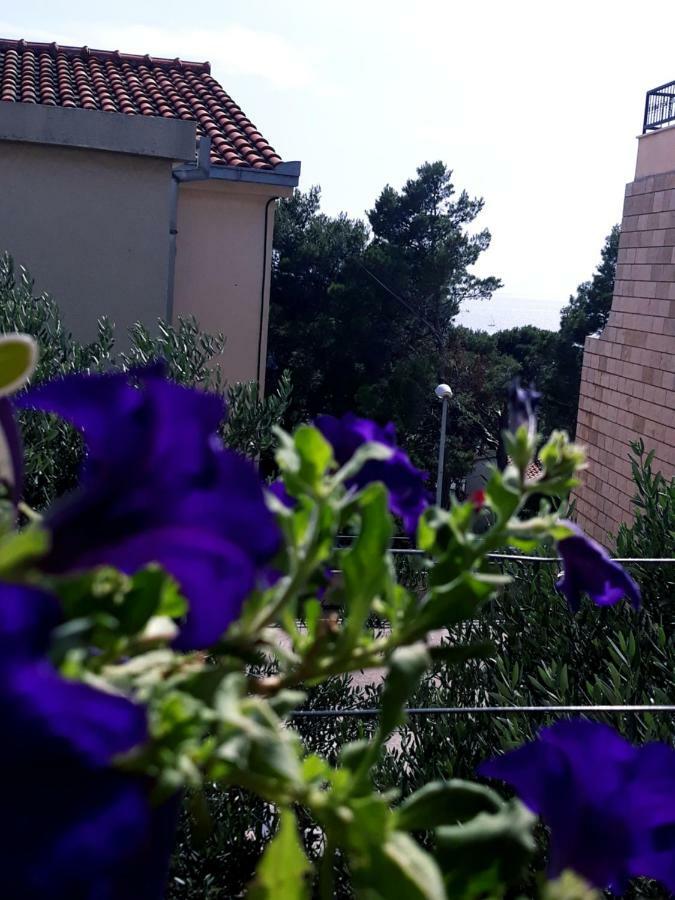 Apartmani I Soba Andrijasevic Makarska Dış mekan fotoğraf